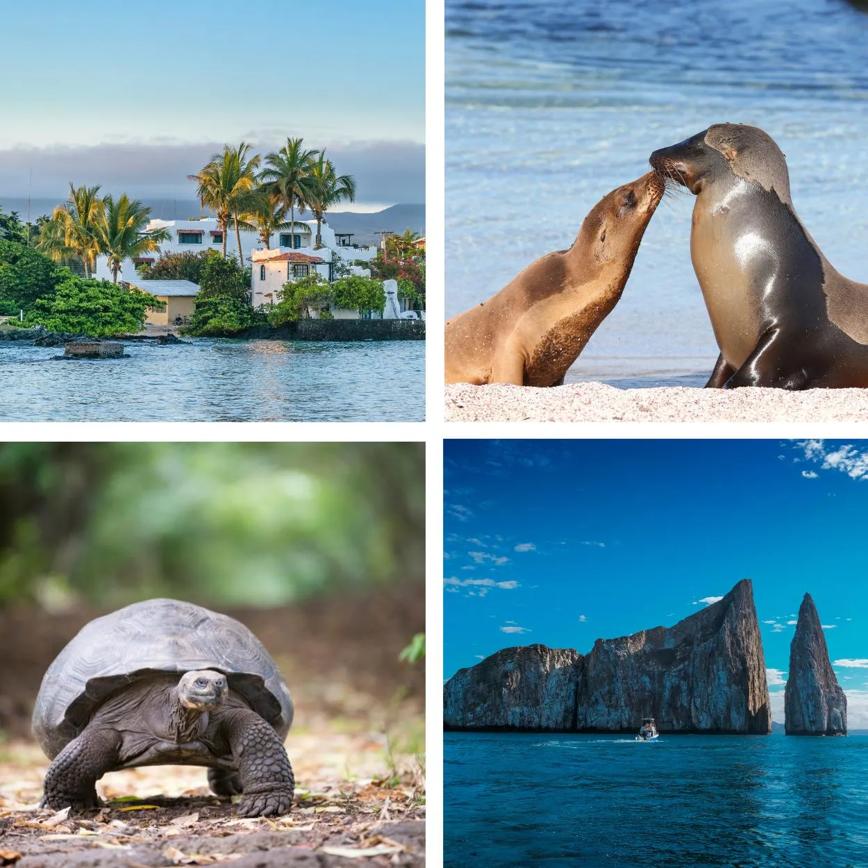 Galapagos visite luxe tour amerique du sud