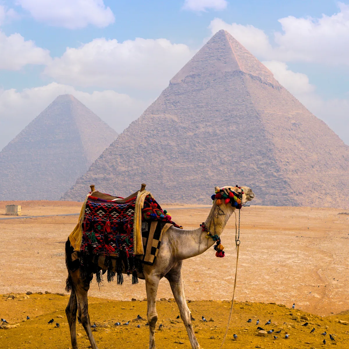 Cairo Pyramids World Tour Luxury