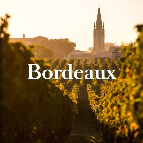 Bordeaux Luxury travel experience