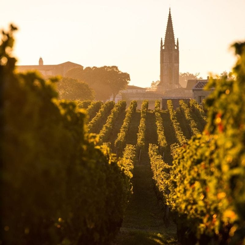 Luxury destination visit france Bordeaux Wine