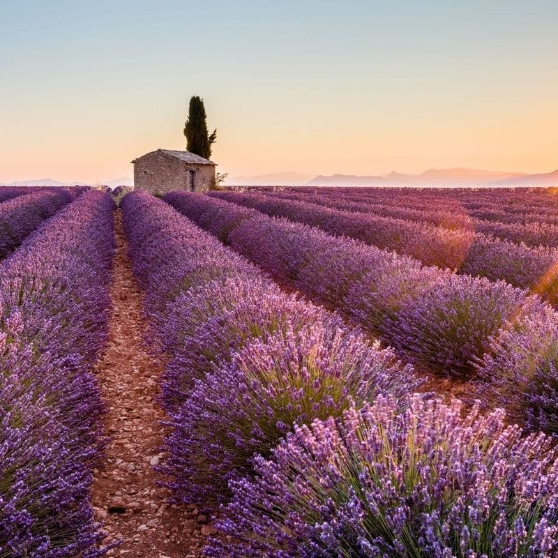 Luxury destination visit france Provence
