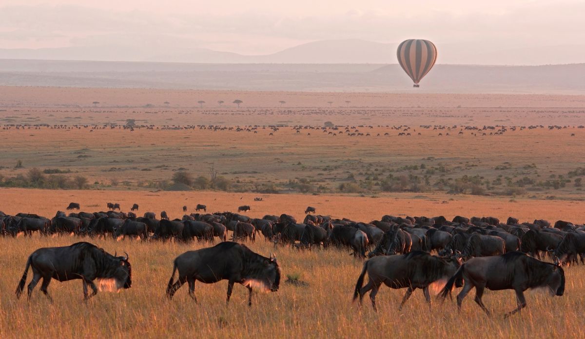 Masai Mara voyage luxe