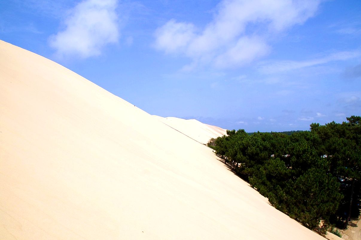 Dune pilat