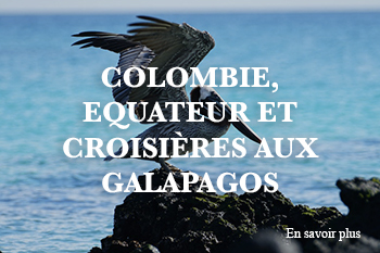 colombie equateur et croisiere aux galapagos