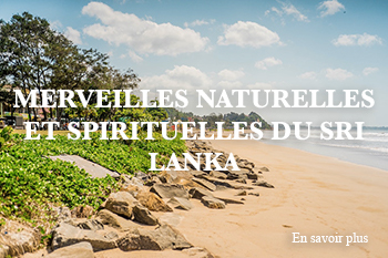 merveilles naturelles et spirituelles du sri lanka