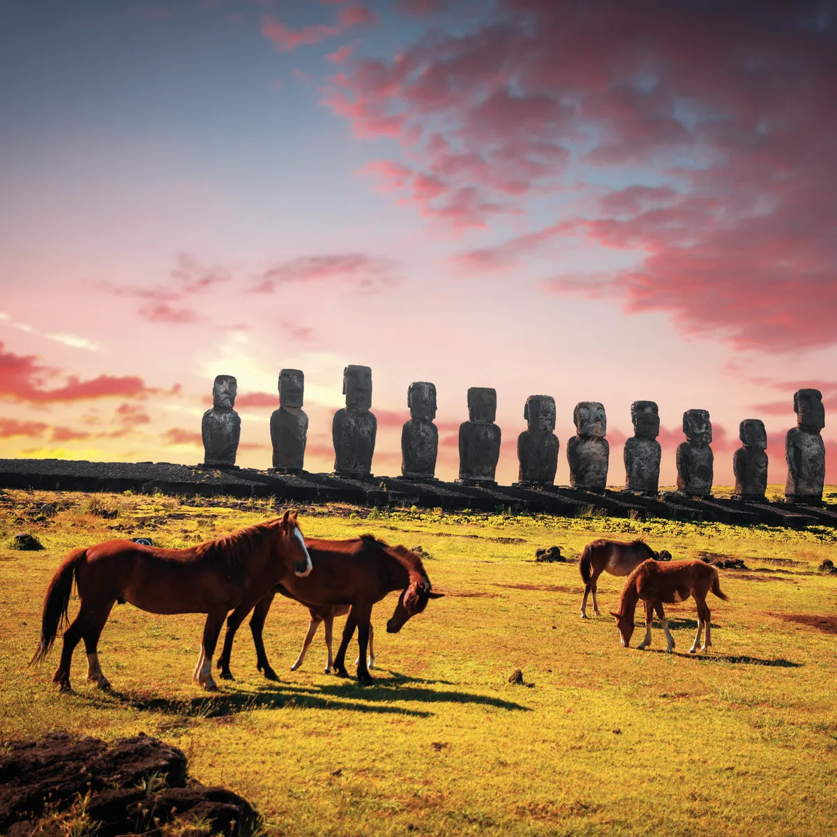 Easter Island World Tour