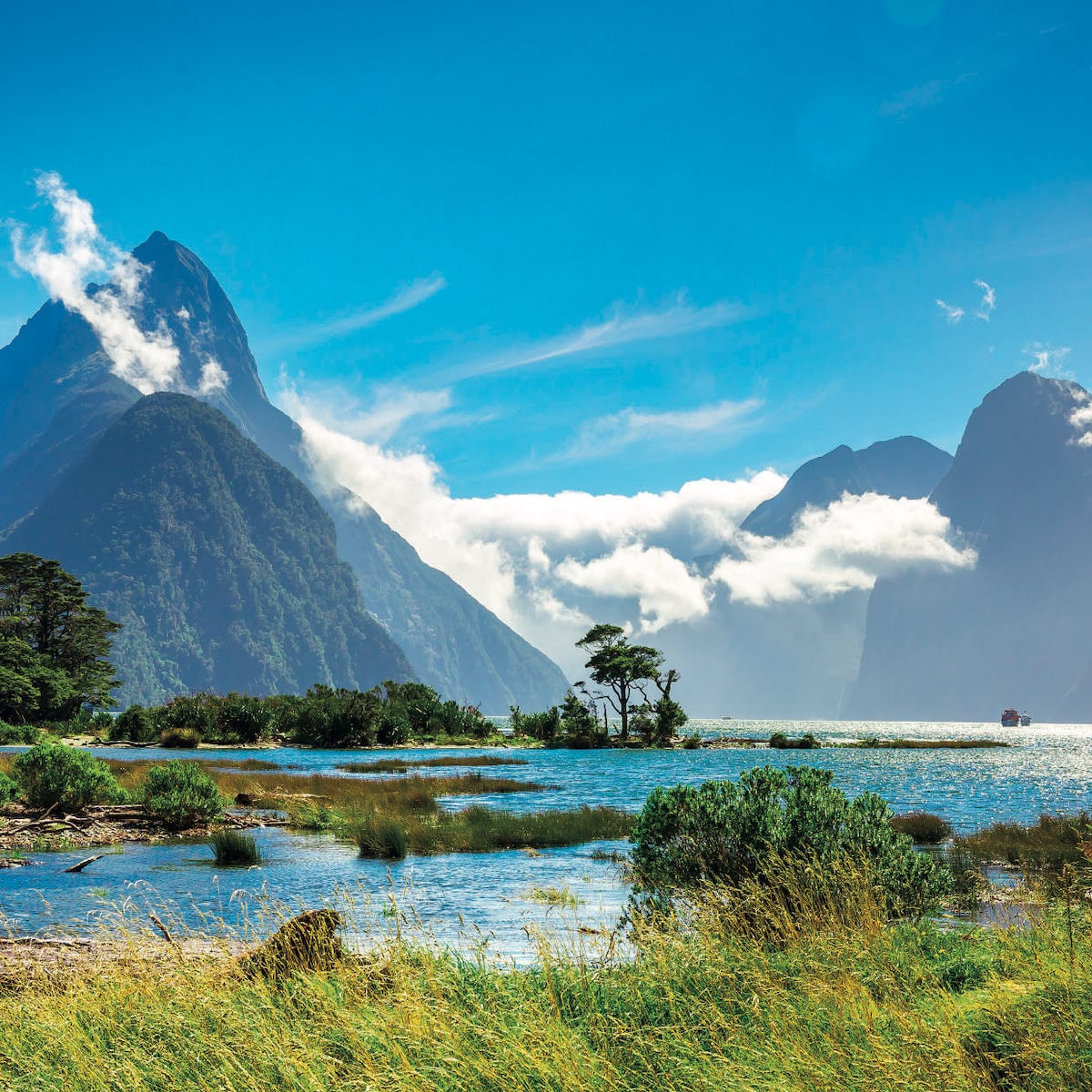 New Zealand Fiordland luxury world tour