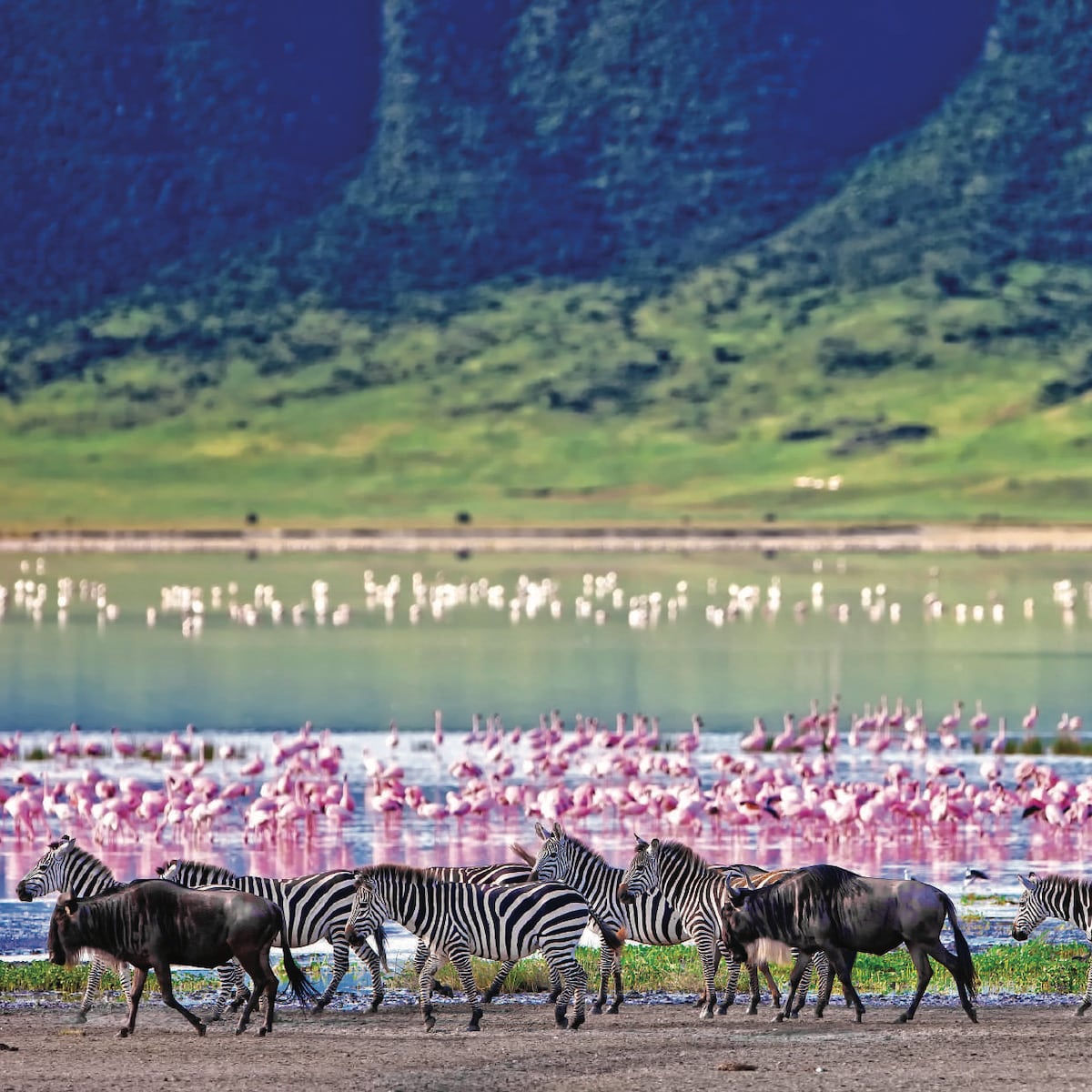 Tanzanie safari tour du monde